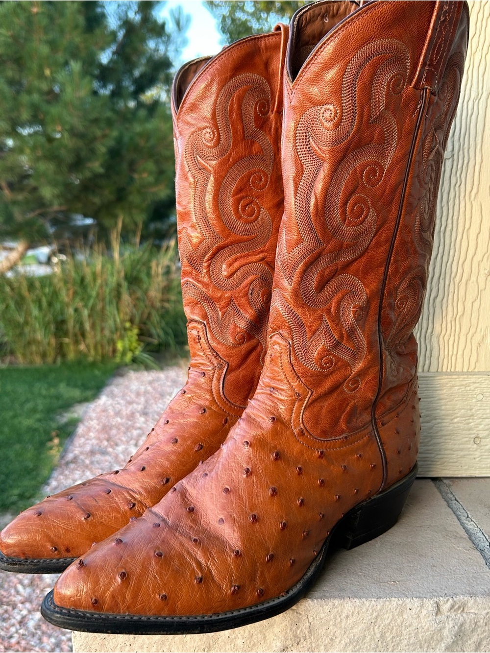 Excellent! Mens TONY LAMA Exotic Full Quill OSTRICH Peanut Western Boots sz 9